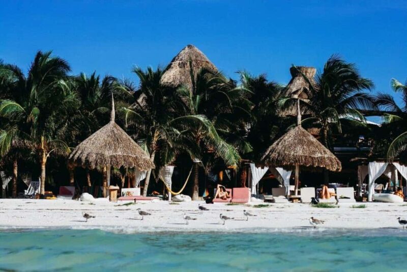 Holbox Island: Feel the Pristine Nature Around You - Practical Tips for Your Trip