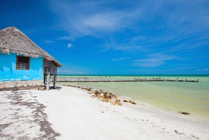 Holbox Island Tour departure from Cancun - Key Points