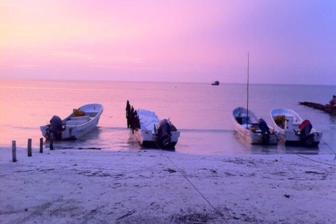 HOLBOX ISLAND TOUR - from Holbox (Private) - Why Choose the Holbox Private Tour?