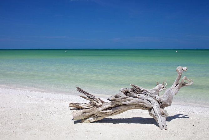 HOLBOX ISLAND TOUR - from Holbox (Private) - FAQs