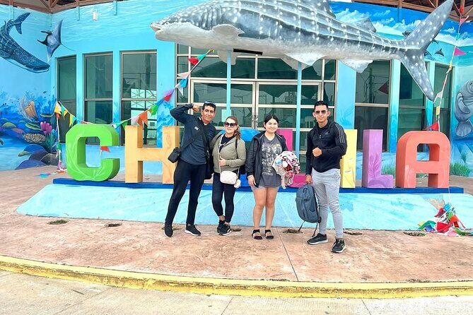 Holbox Island Trip with Boat Ride Biking and Swimming from Cancun - Key Points