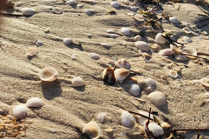 Holbox: Islas Pajaros, Yalahau & Isla de la Pasión with pick up - Key Points