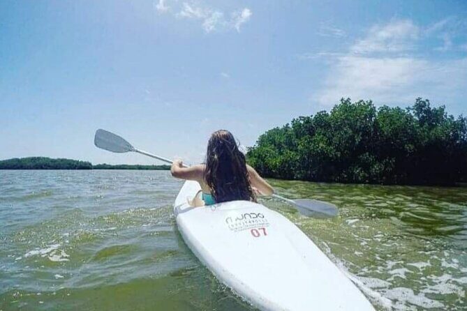 Holbox : Kayaking through Mangroves - Discovering Isla Holbox: Kayaking through Mangroves