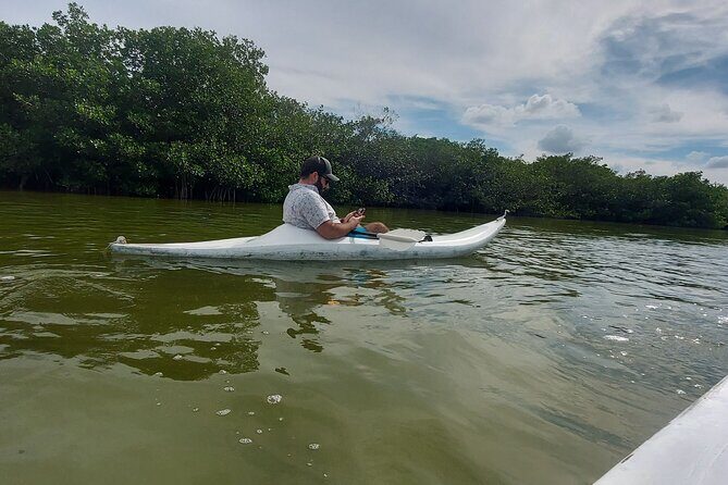 Holbox : Kayaking through Mangroves - Final Thoughts