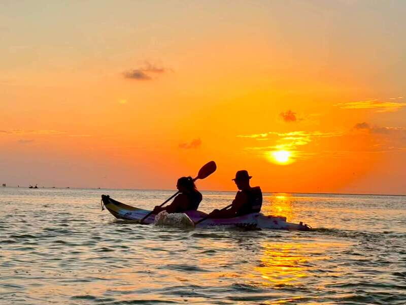 Holbox: Mangrove Sunset Kayak Tour - FAQs