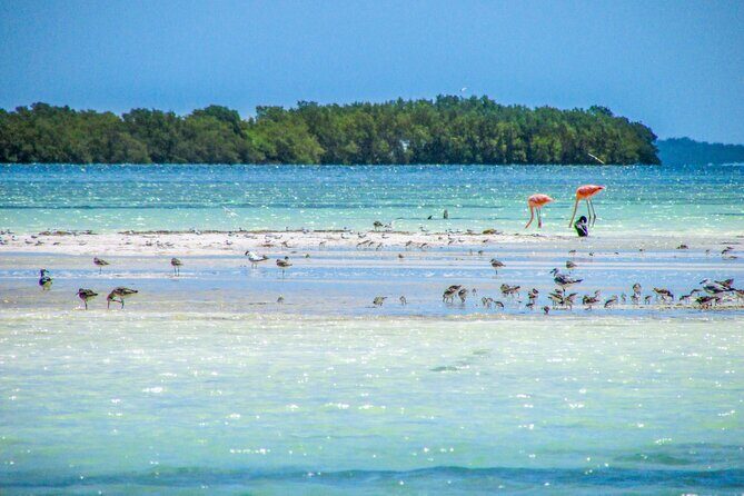 Holbox Paradise Island - Final Thoughts