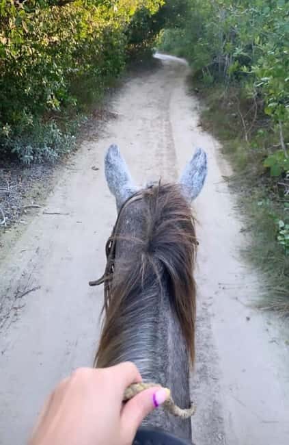Holbox: Private Horseback Riding - Key Points