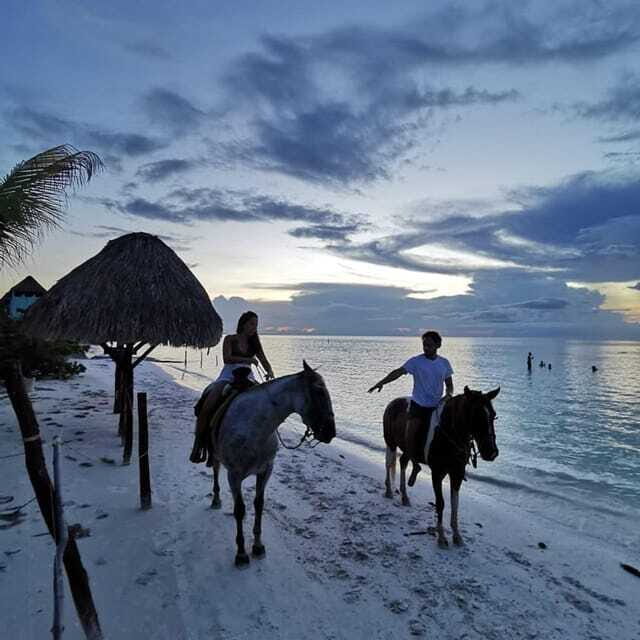 Holbox: Private Horseback Riding - FAQ