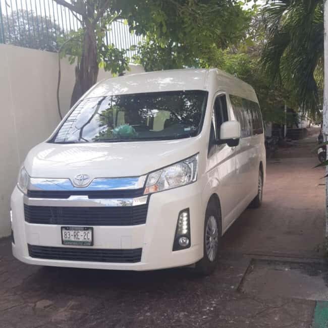 HolBox: Private Tour with Transfers - In-Depth Review of the Holbox Private Tour