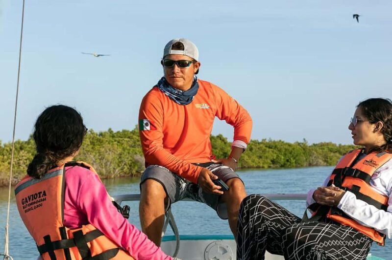 Holbox: Search and Swim with Whale Sharks ! All Inclusive. - A Detailed Look at the Tour Experience