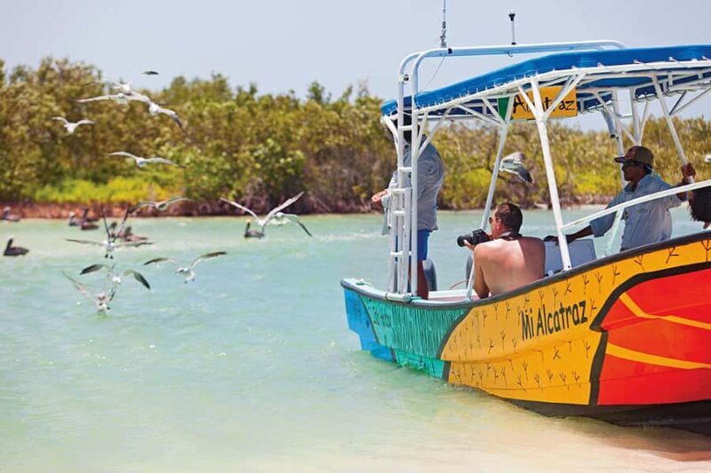 Holbox: Search and Swim with Whale Sharks ! All Inclusive. - Who Will Love This Tour?