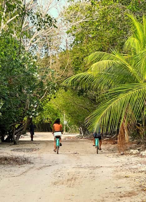 Holbox Self-Guided Tour: Map, Bike, SUP, Coffee & Snack incl - Key Points