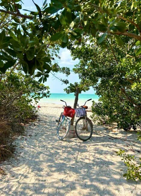 Holbox Self-Guided Tour: Map, Bike, SUP, Coffee & Snack incl - A Deep Dive into the Holbox Self-Guided Tour