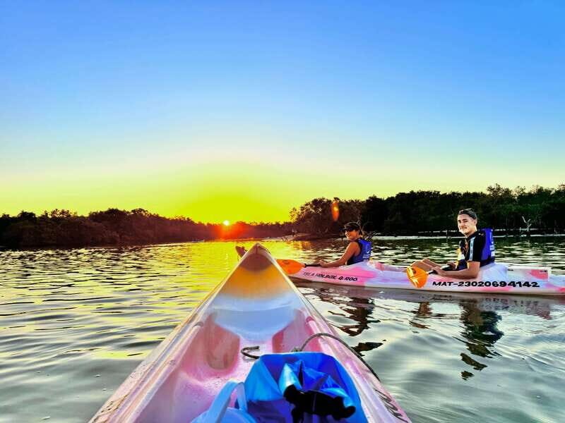Holbox: Sunrise & Mangrove Kayak Tour - Value and Practical Considerations
