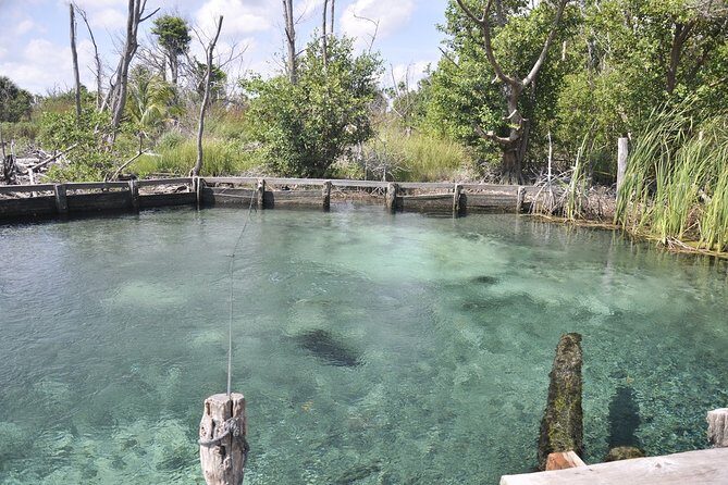 Holbox Tour - Island & Cenote from Cancun and Playa del Carmen - Timing & Logistics