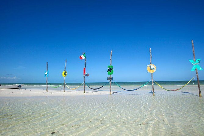Holbox Tour - Island & Cenote from Cancun and Playa del Carmen - Is This Tour Right for You?