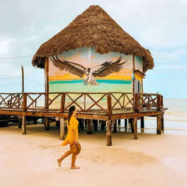 Holbox: Tour of Holbox Island, Isla Pasión, and Punta Mosquito. - The Sum Up
