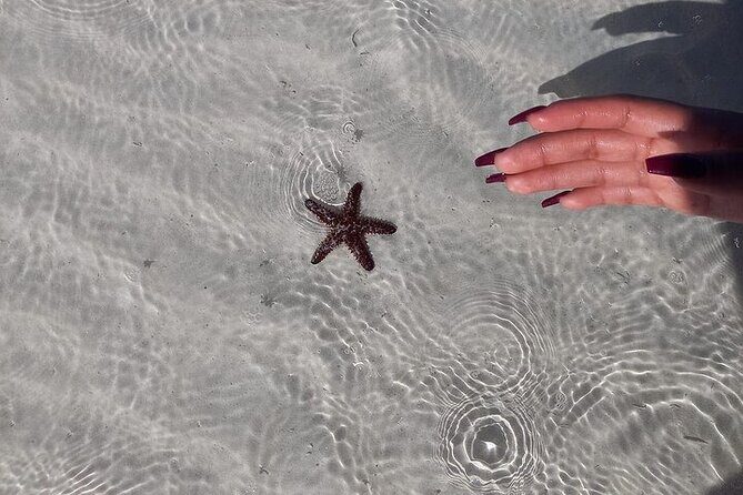 Holbox Tour Punta Mosquito from Cancun - FAQ