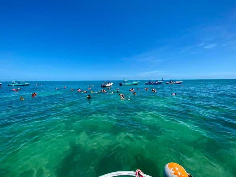 Holbox: Whale Shark and Catoche Island Tour with Snorkeling - Who Should Consider This Tour?
