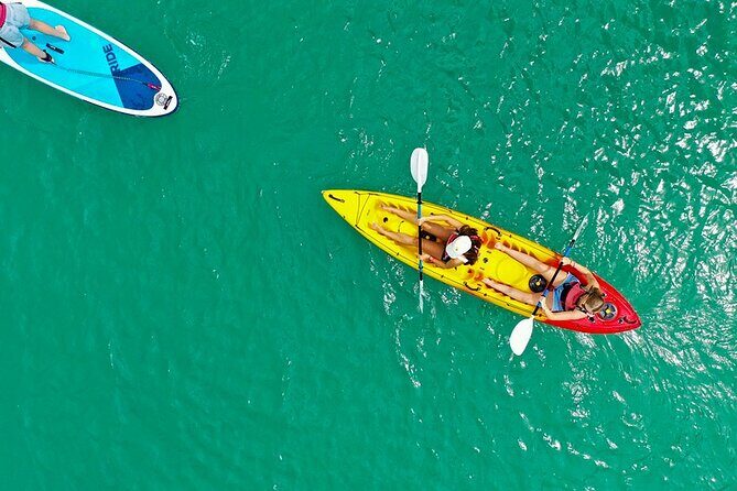 Hole in the Rock Dolphin Cruise Tour Round Trip from Auckland - The Itinerary in Detail: What You Can Expect