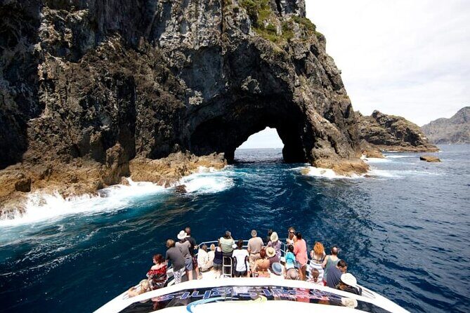 Hole in the Rock Dolphin Cruise Tour Round Trip from Auckland - Who Would Love This Tour