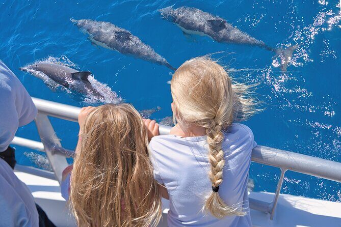 Hole in the Rock Dolphin Cruise Tour Round Trip from Auckland - FAQs