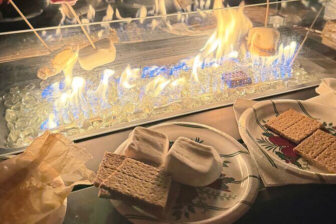 Holiday Light Cruise Plus S'mores Fire Pit Experience - Key Points