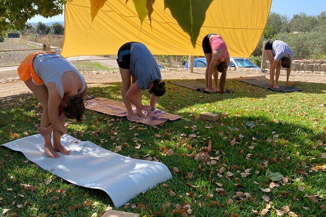 Holistic Private Yoga and Meditation Retreat in Mallorca - A Close Look at the Experience