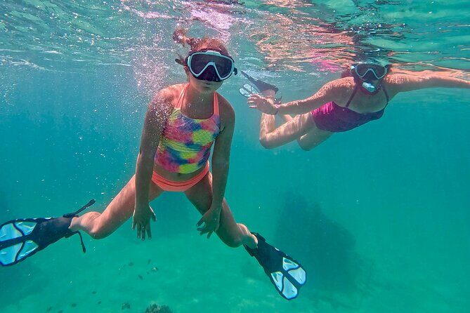 Hollywood Snorkel, Kayak & Paddleboard with Reefs and Sculptures - The Overall Value