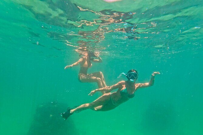 Hollywood Snorkel, Kayak & Paddleboard with Reefs and Sculptures - FAQ