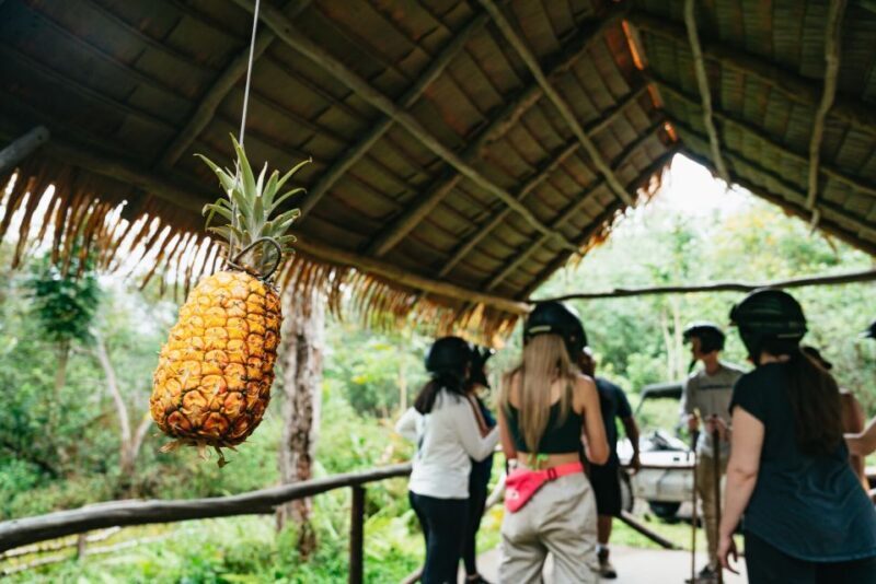 Holualoa: Polynesian Culture ATV Tour - Summary: Who Is This Tour Best For?