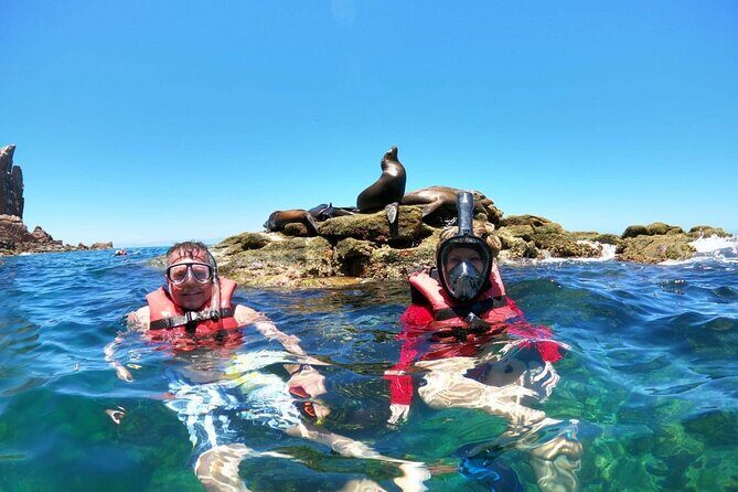 Holy Spirit Island Tour and snorkeling with sea lions - Exploring Baja California Sur with the Holy Spirit Island Tour