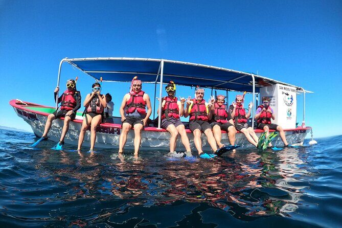 Holy Spirit Island Tour and snorkeling with sea lions - Who Is This Tour Best For?