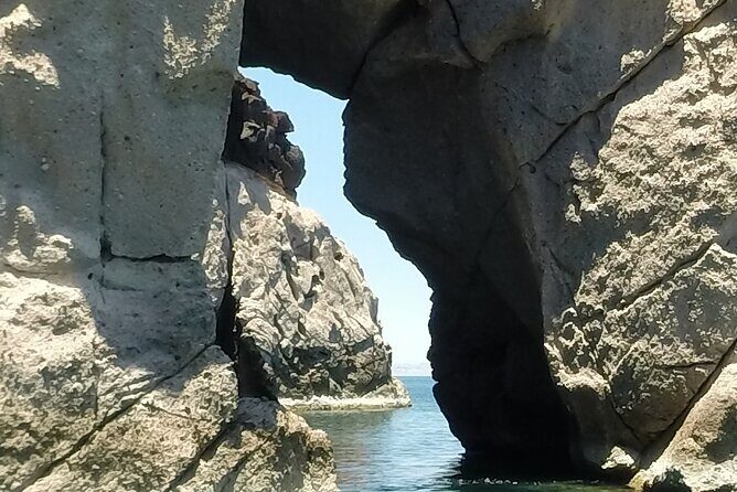 Holy Spirit Island Tour Sea Lions Snorkeling and Beach - An In-Depth Look at the Holy Spirit Island Tour Experience