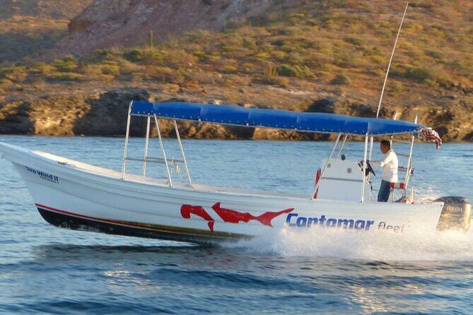 Holy Spirit Island Tour Sea Lions Snorkeling and Beach - Frequently Asked Questions