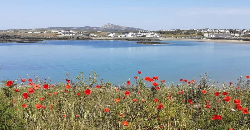 Holyhead: Holy Island Anglesey Coastal Hike - Key Points