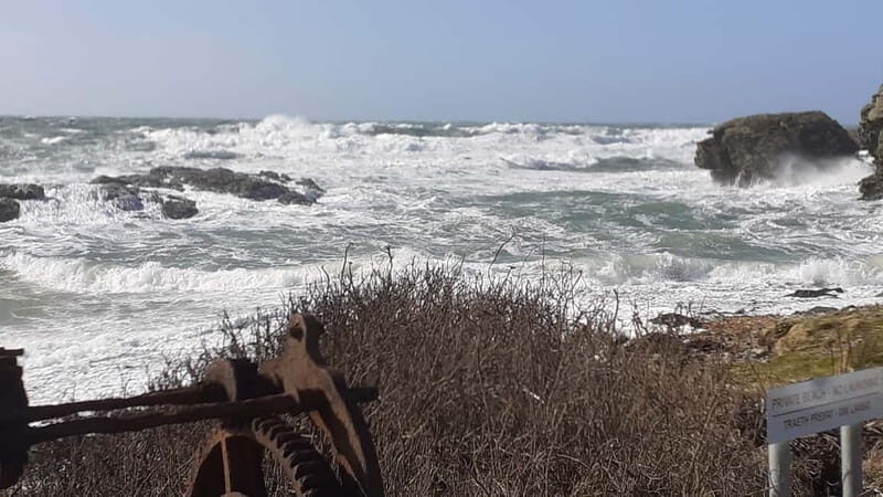 Holyhead: Holy Island Anglesey Coastal Hike - Who Will Love This Tour?