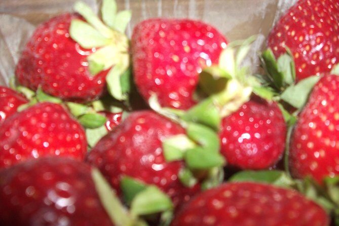 Home made Greek Yogurt Class - The Sum Up: Why It’s Worth Your While