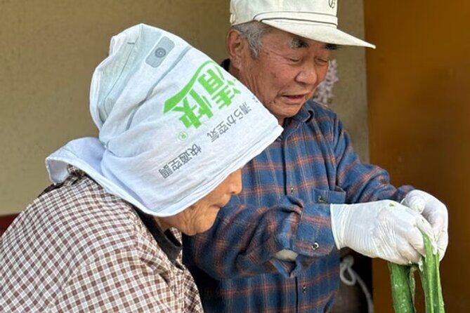 Home Visit and Mochi Pounding Experience near Kyoto - Overview of the Experience
