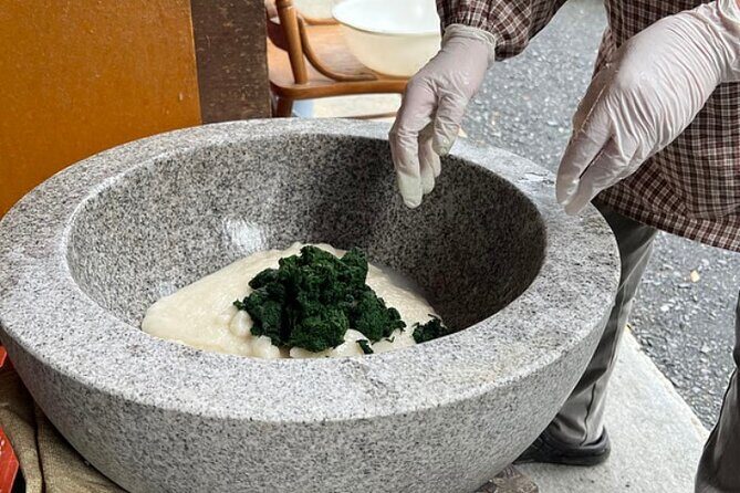 Home Visit and Mochi Pounding Experience near Kyoto - Why This Tour Might Be Just Right for You