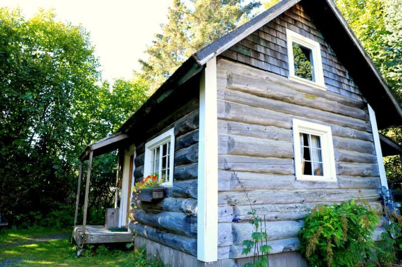 Homer: Pratt Museum Admission Ticket - Exploring Homer’s Pratt Museum: An In-Depth Review