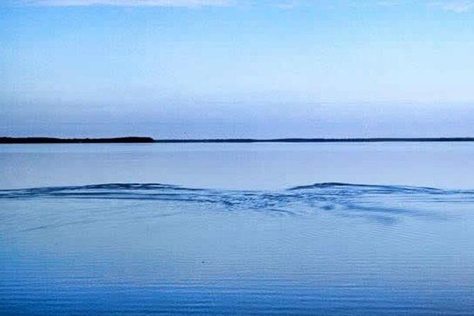 Homosassa Inshore Fishing Charters - A Detailed Look at Homosassa Inshore Fishing Charters