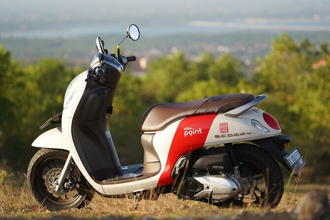 Honda Scoopy Rental in Bali - Honda Scoopy Rental in Bali: A Practical Guide for Exploring the Island