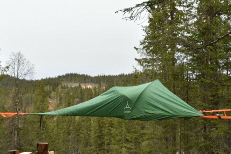 Hønefoss: 2-Day Moose Safari in Oslo's Wilderness - Exploring Norway’s Wilderness in Depth