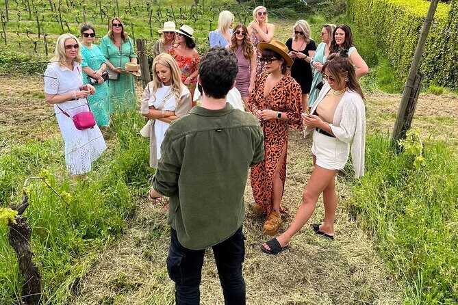 Honest Wines- Wine tasting at Cantina Biagiotti - Why You Should Consider This Tour