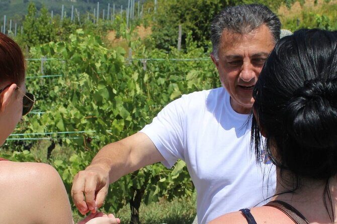Honest Wines- Wine tasting at Cantina Biagiotti - Final Thoughts