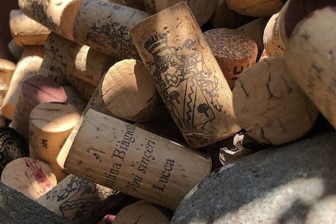 Honest Wines- Wine tasting at Cantina Biagiotti - In Summary