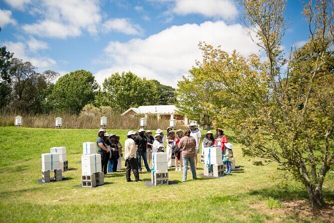 Honey Farm Tour. Morning Tea. Guided Tasting - Frequently Asked Questions