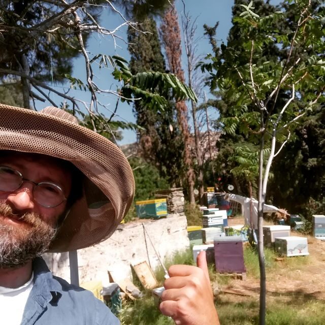 Honey tasting on Naxos Island - Final Thoughts