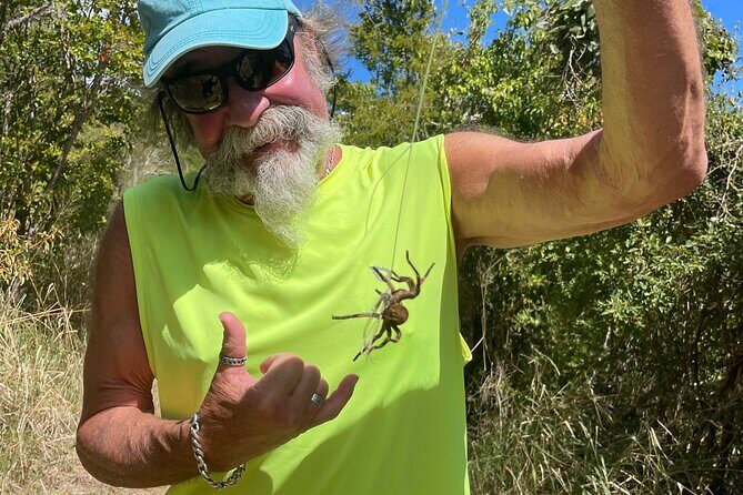 Honeymoon Beach Eco Hike and Snorkel - Final Thoughts: Is It Worth It?